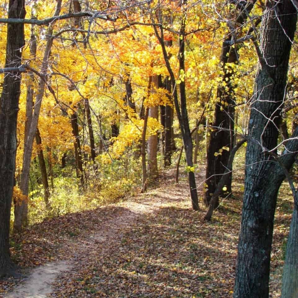 guided hikes pere marquette state park